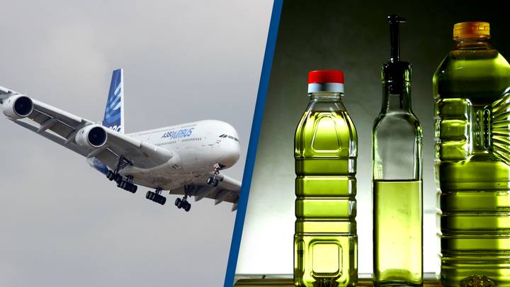 Airbus Flew A Massive Jet On Cooking Oil