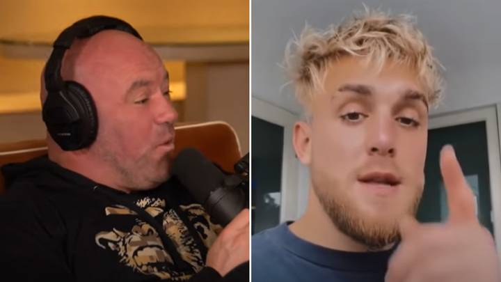 Dana White Says Jake Paul's Too 'F**king Huge' For Conor McGregor, Paul Fires Back