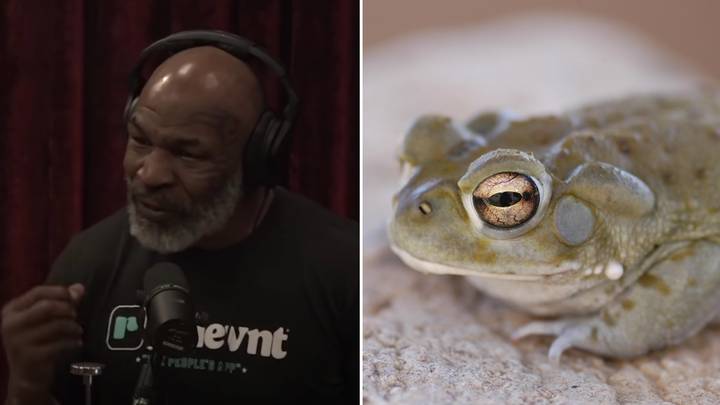 Mike Tyson Claims A 'Psychedelic Toad' Convinced Him To Have First Fight In 15 Years