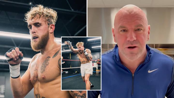Jake Paul Will Retire From Boxing 'Immediately' And Fight Jorge Masvidal In UFC If Dana White Agrees To Conditions