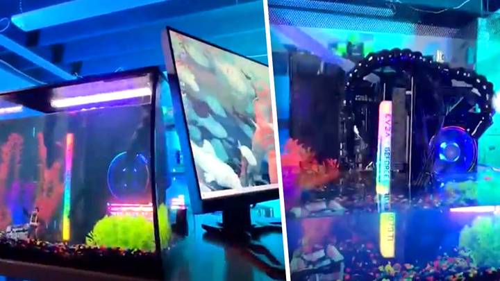 Some Genius Has Built A Working PC In A Fish Tank