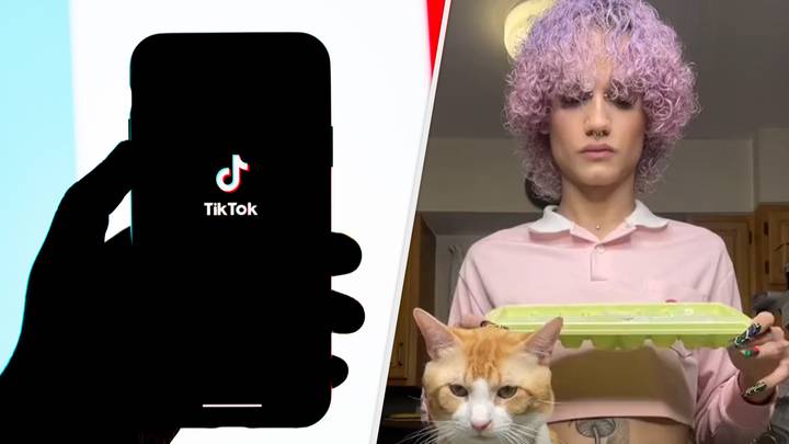 TikToker Faces Animal Abuse Allegations Following Controversial Videos