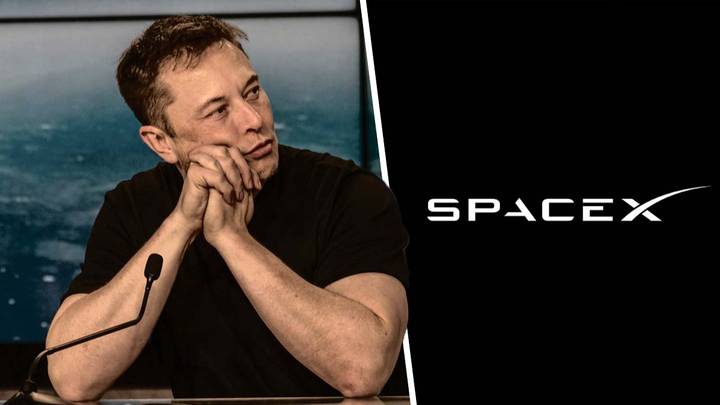Elon Musk SpaceX flight attendant