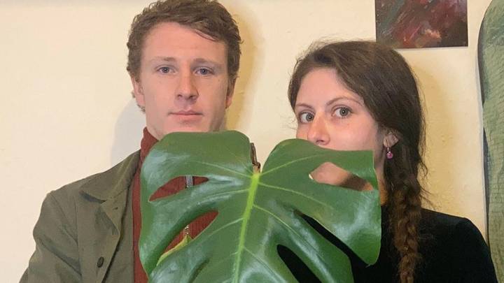 Stunned Couple Buy B&Q Plant For £12 After Realising That Leaves Are Worth £170 Each