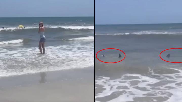 Man Left With Shredded Leg After Horror 'Shark Attack' As Beach-Goers Warned To Flee Shallow Waters
