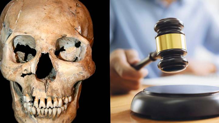 Human Skull And Bone No Longer For Sale Following Ethics Outrage