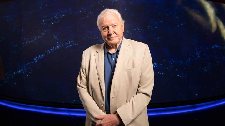David Attenborough Doesn't Fear Death As Long As He Dies Quickly