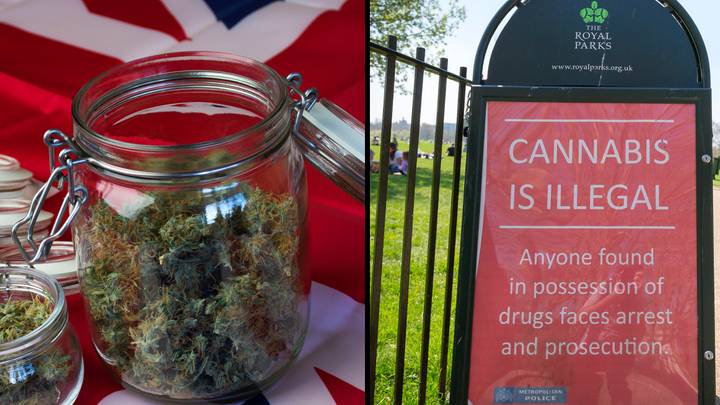 The Arguments For And Against Legalisation Of Weed In The UK