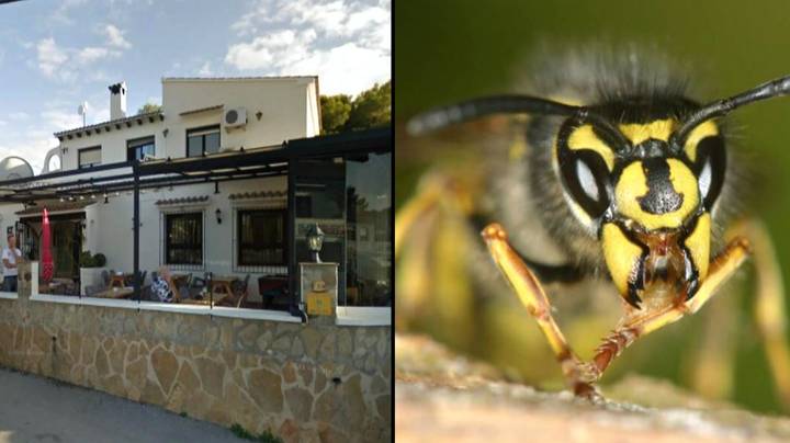 British Woman Dies After Being Stung By A Wasp At Restaurant In Spain