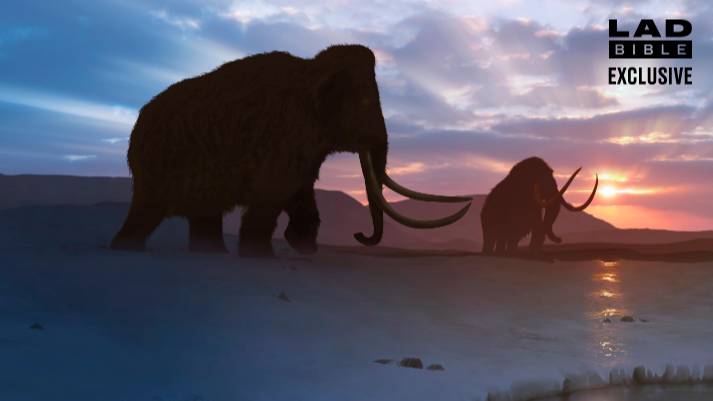 Founder Of Mammoth 'De-Extinction' Company Responds To Accusations Of 'Playing God'
