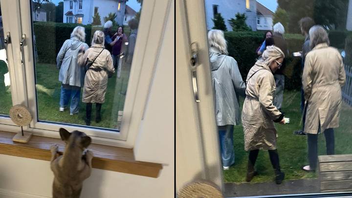 Scottish Woman Confused After Finding Eight Americans In Her Garden Waving Through Window