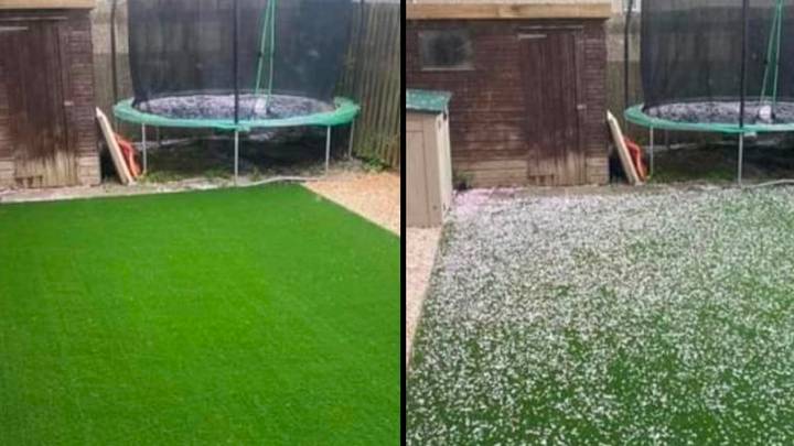 Woman Is Forced To Hoover Astroturf Garden Every Day Because Of 'Mess' From Neighbour