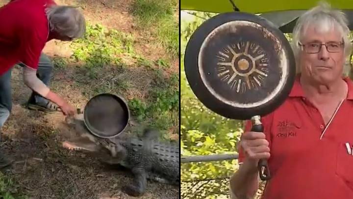 Brave Aussie Fights Off Crocodile With Frying Pan
