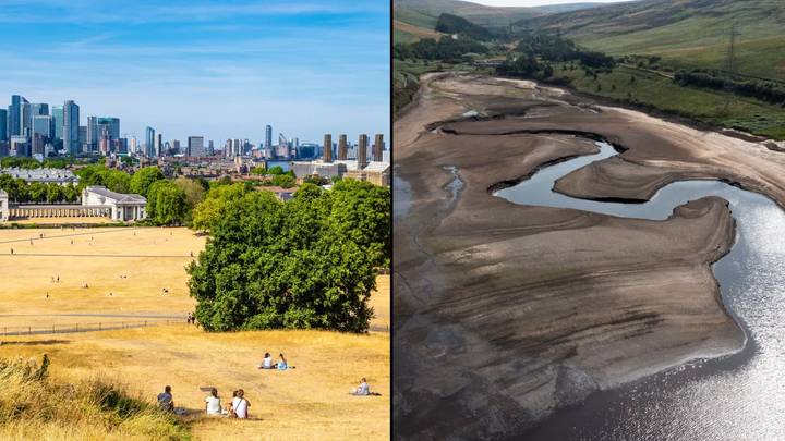 Drought has now been declared in parts of the UK
