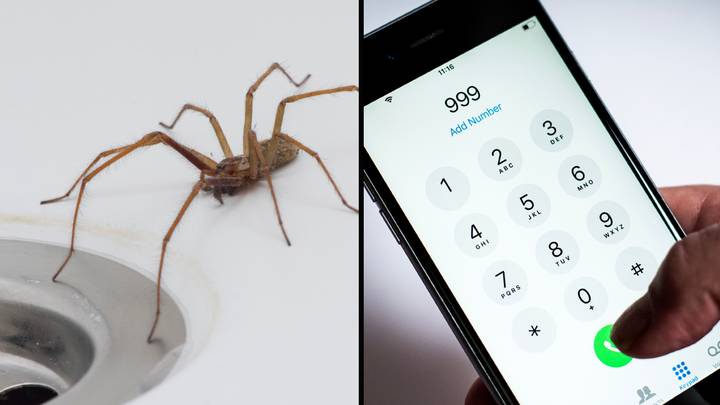 Police Slam Woman Who Called 999 Because A 'Massive' Spider Was In Her Room