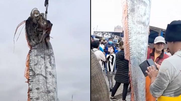 Fishermen Catch Terrifying Giant 16ft-Long Sea Creature Believed To Be Sign Of Pending Disaster