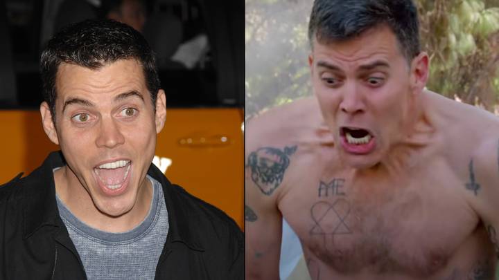 Steve-O Is Planning To Get A Boob Job
