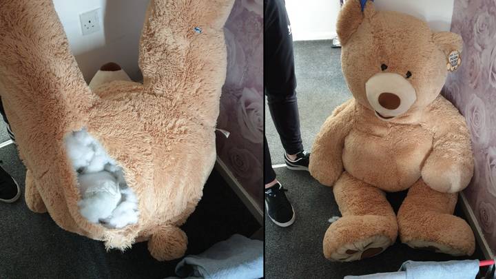 Wanted man caught by police after huge teddy bear spotted 'breathing'