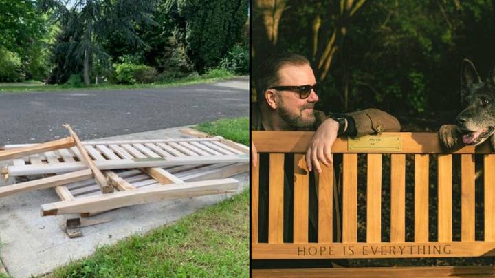 After Life Bench Destroyed By 'Disgusting Vandals'