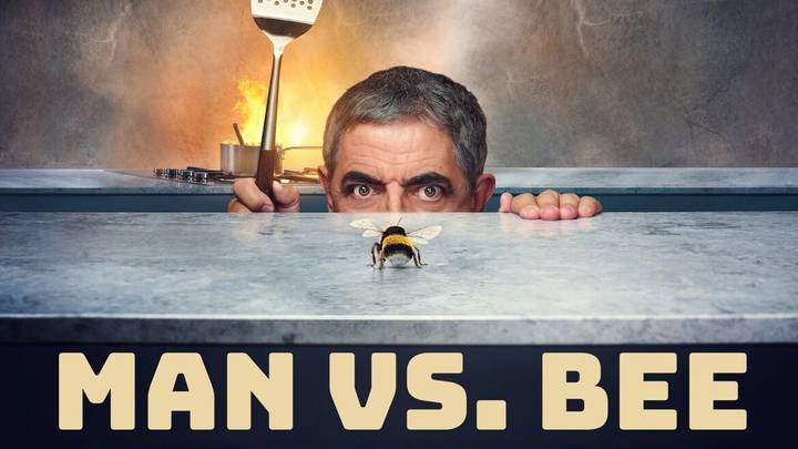 Will There Be A Man Vs Bee Season 2?