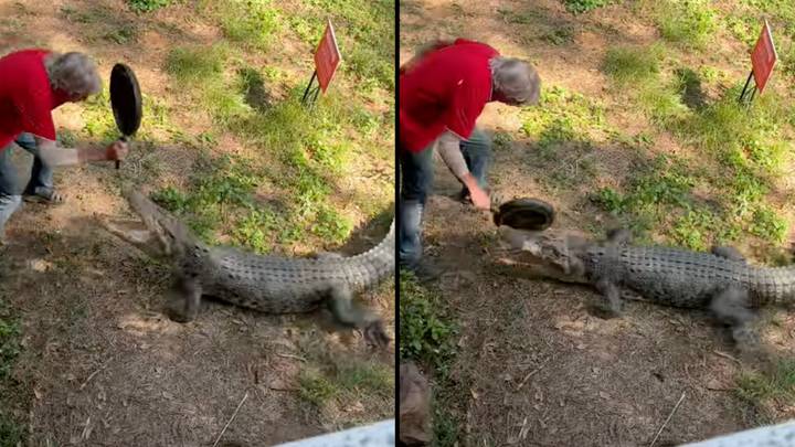 Shocking Moment Aussie Pub Owner Uses Frying Pan To Defend Himself Against Croc Attack