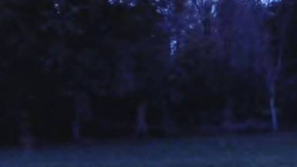 Creepy Video Shows Ghostly Shapes Moving Around Historic Gettysburg Site