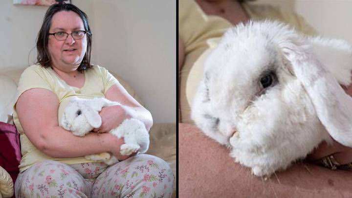 Couple Receive Threatening Letter From Council About Their 'Barking' Pet Rabbit