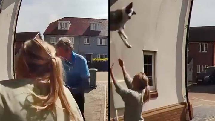 Woman Saves Dog Falling Out Of Window With Heroic Catch