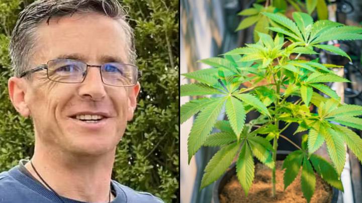 Dad Caught Growing Cannabis To Ease Pain For Hundreds Of People Avoids Jail