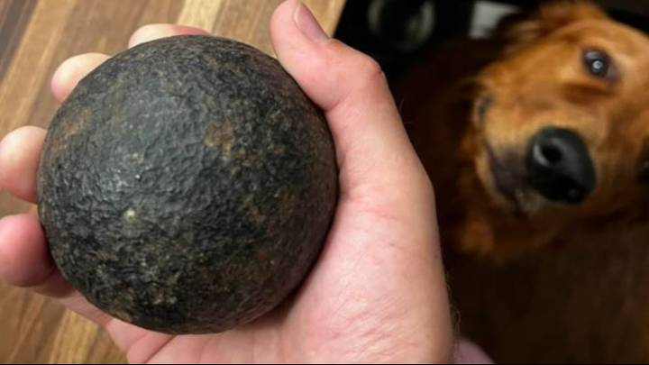 Warning issued to homeowner who found cannonball in house that could still be live
