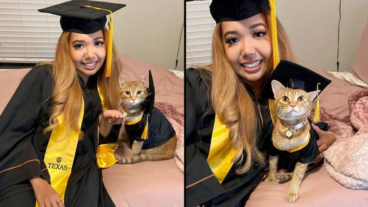 Cat Graduates From University After Attending Every Class On Zoom
