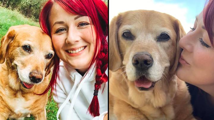 Woman Quits Her Job So She Can Help Her Dying Pet Dog Complete Her Bucket List