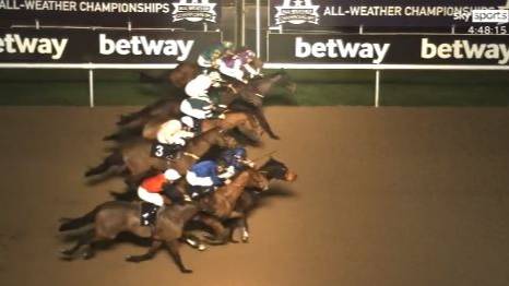 Incredible Moment Eight Horses Cross The Finish Line At Almost Same Time