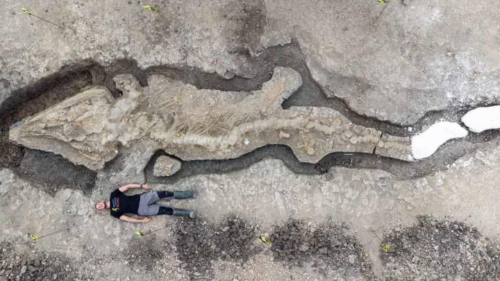 UK's Largest Ever 'Sea Dragon' Fossil Discovered In Reservoir