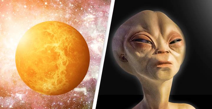 Alien Lifeforms ‘Unlike Anything We’ve Seen’ Could Be Hiding’ In Venus, Scientists Say