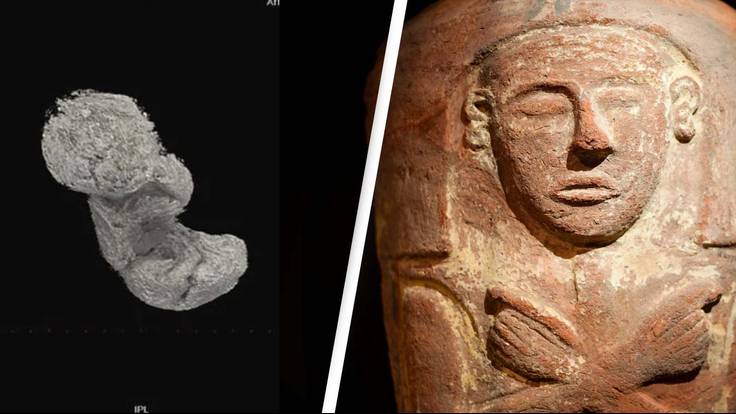 2000-Year-Old Foetus Discovered In Egyptian Mummy's Abdomen