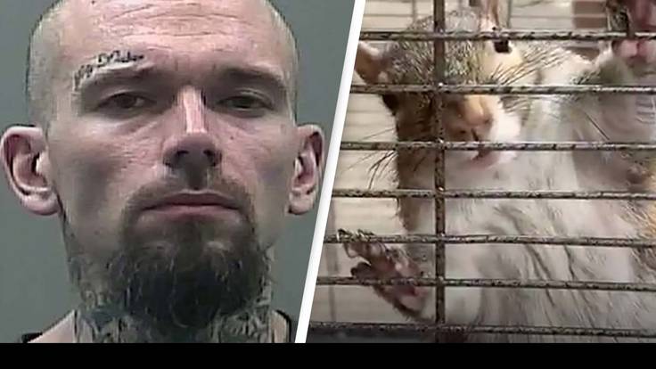 Man Accused Of Feeding Squirrel Named 'Deeznuts' Meth Now Facing New Charges