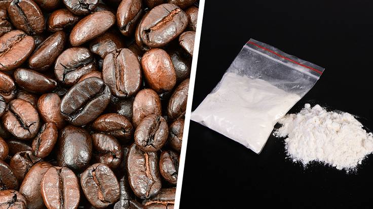 More Than 500kg Of Cocaine Found Inside Delivery Of Coffee Beans
