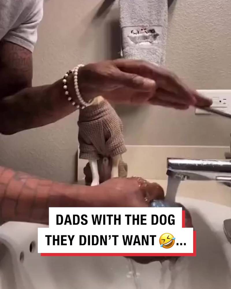 Your dad with the dog they said they didn't want...