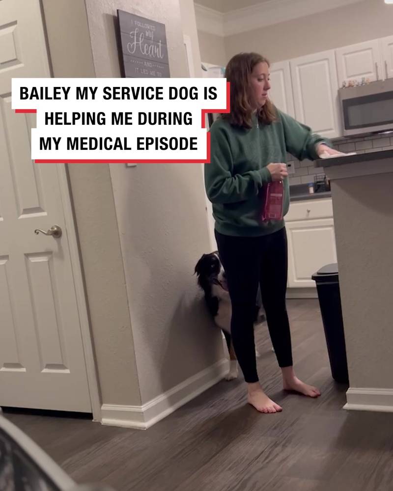 Service dog saves owner before POTS episode