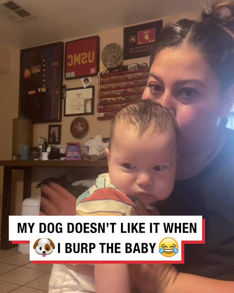 'My dog doesnt like when I burp the baby'