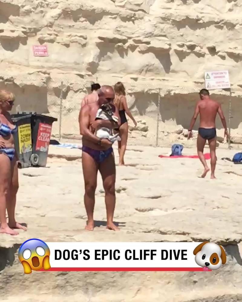 Brave dog goes cliff diving