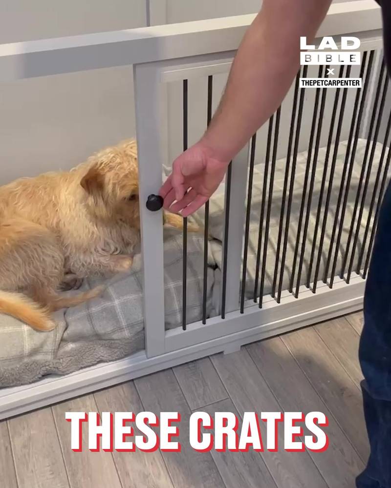 Making Custom Pet Crates