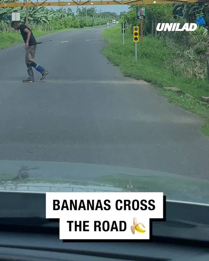 The banana crossing