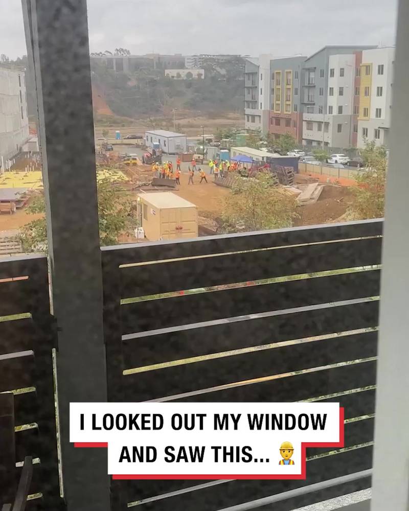 'I looked out my window and saw this...'