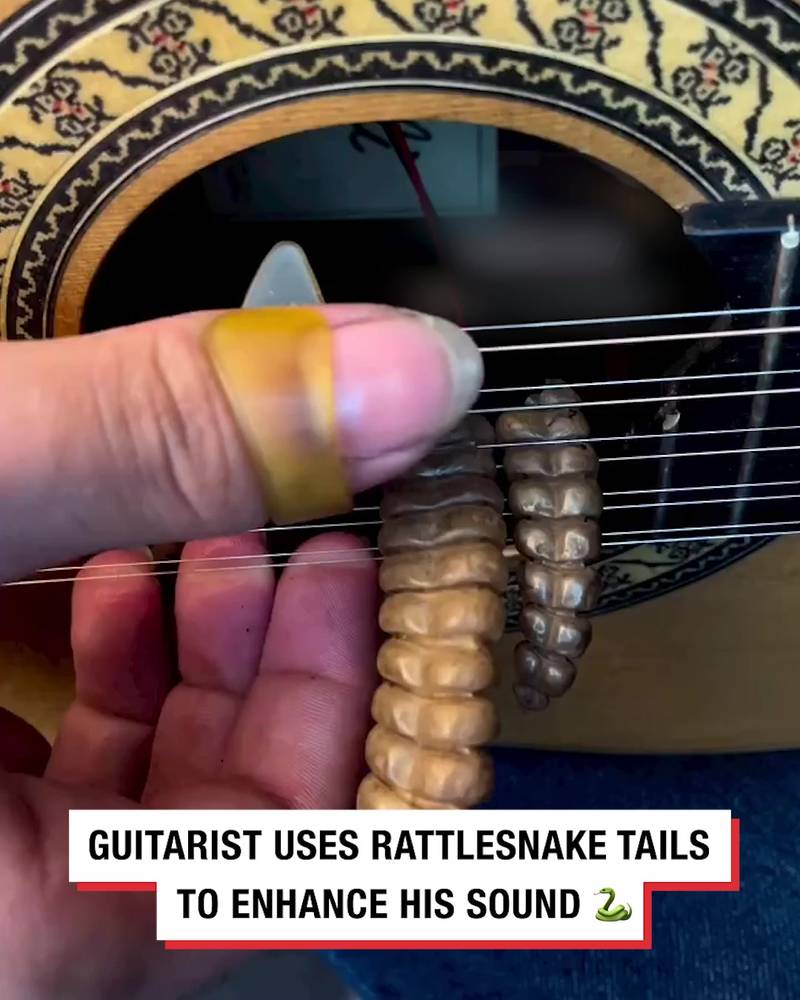 Guitarist uses rattlesnake tails to enhance his sound