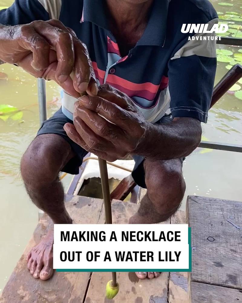 Making a necklace out of a water lily