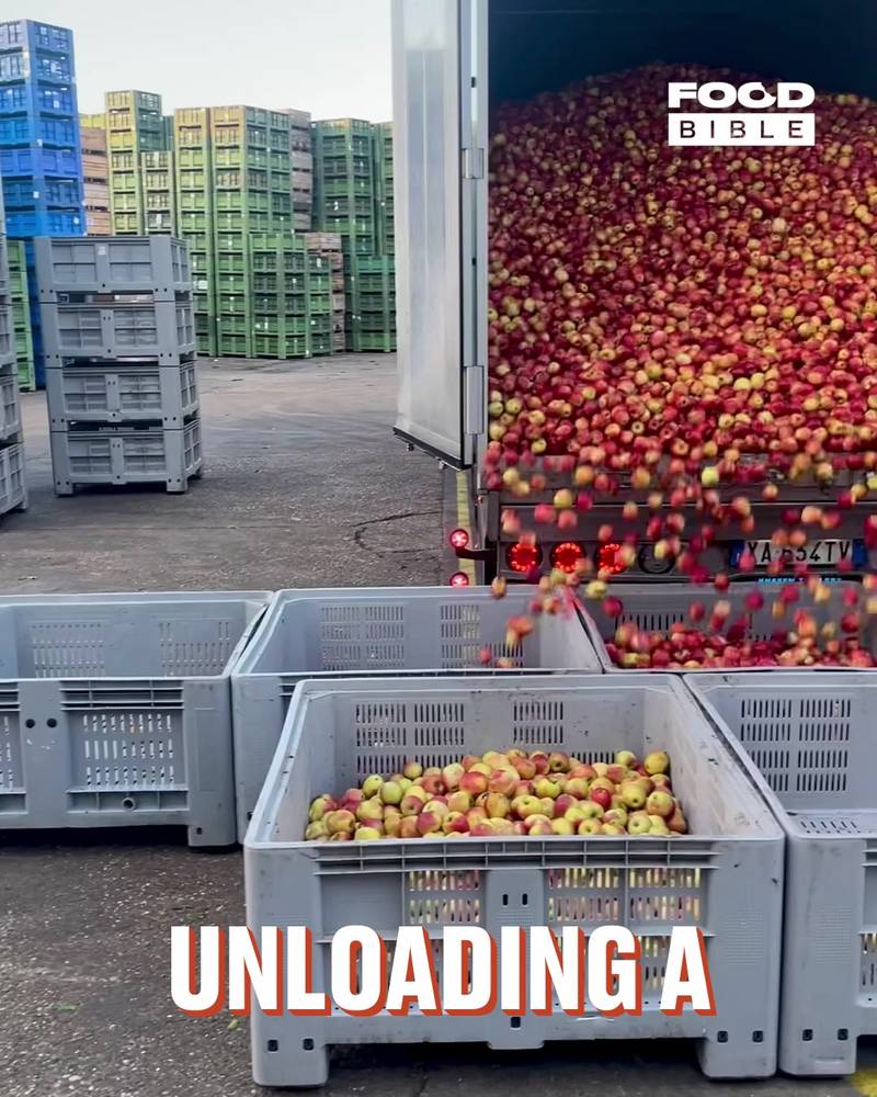 Unloading A Trailer Full Of Apples 🍎🤯
