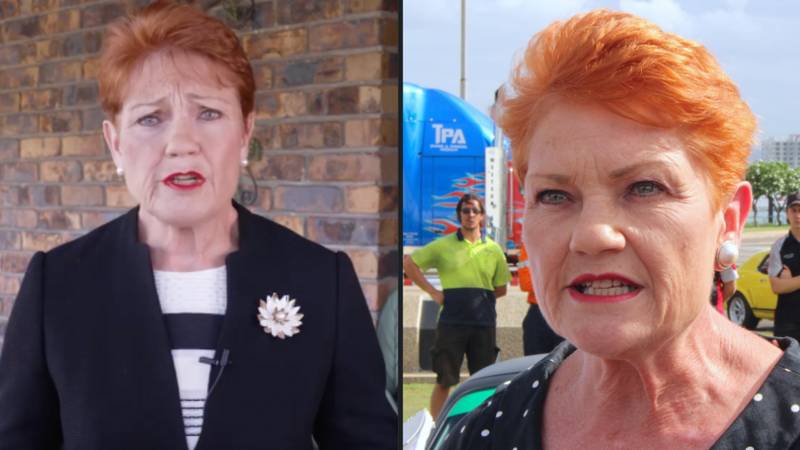 Pauline Hanson's One Nation party has been branded a 'hate group' by global think tank