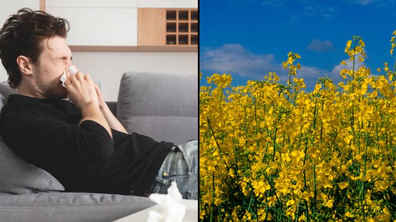 Viral £4 hay fever tablet 'cures all symptoms'